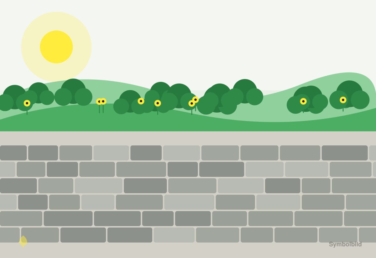 Symbolbild: Natursteinmauer mit Bepflanzung